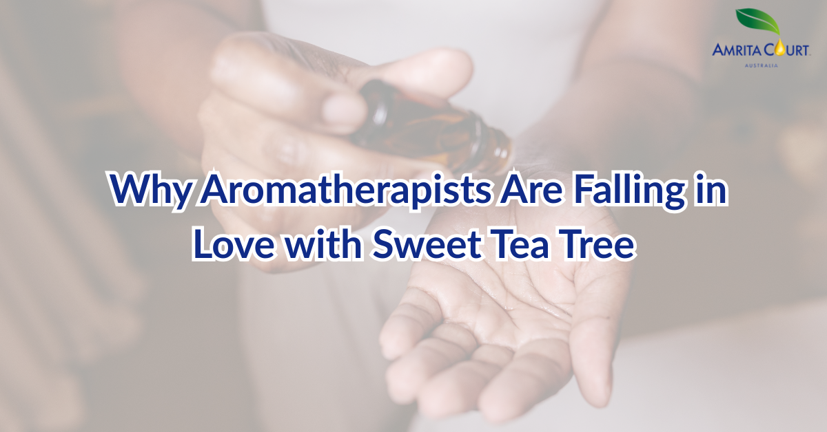 Why Aromatherapists Are Falling in Love with Sweet Tea Tree – Amrita ...